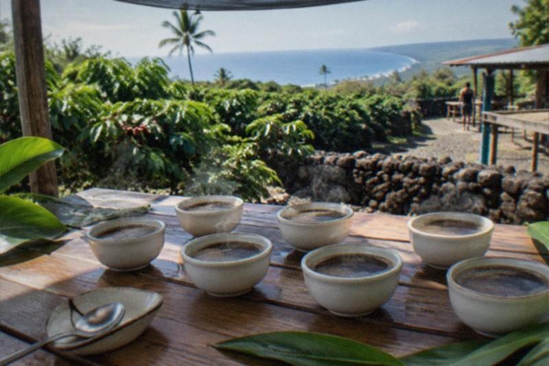 Cupping Workshop, Max 4