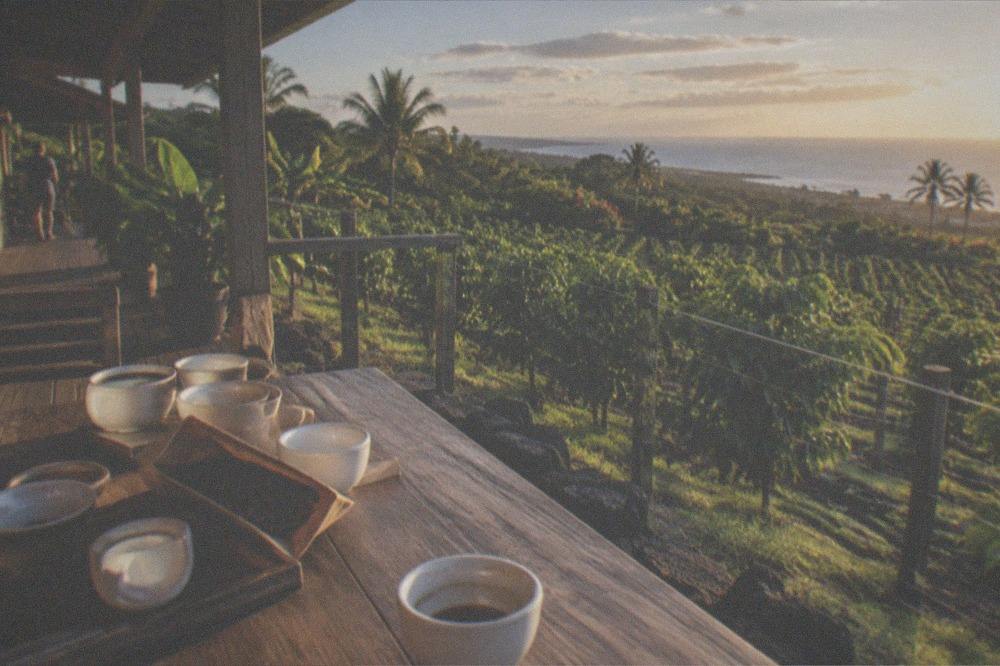 A coffee tasting table with cups and a bag of beans on a wooden farm porch